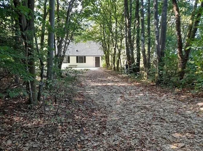 Skovhuset Give
